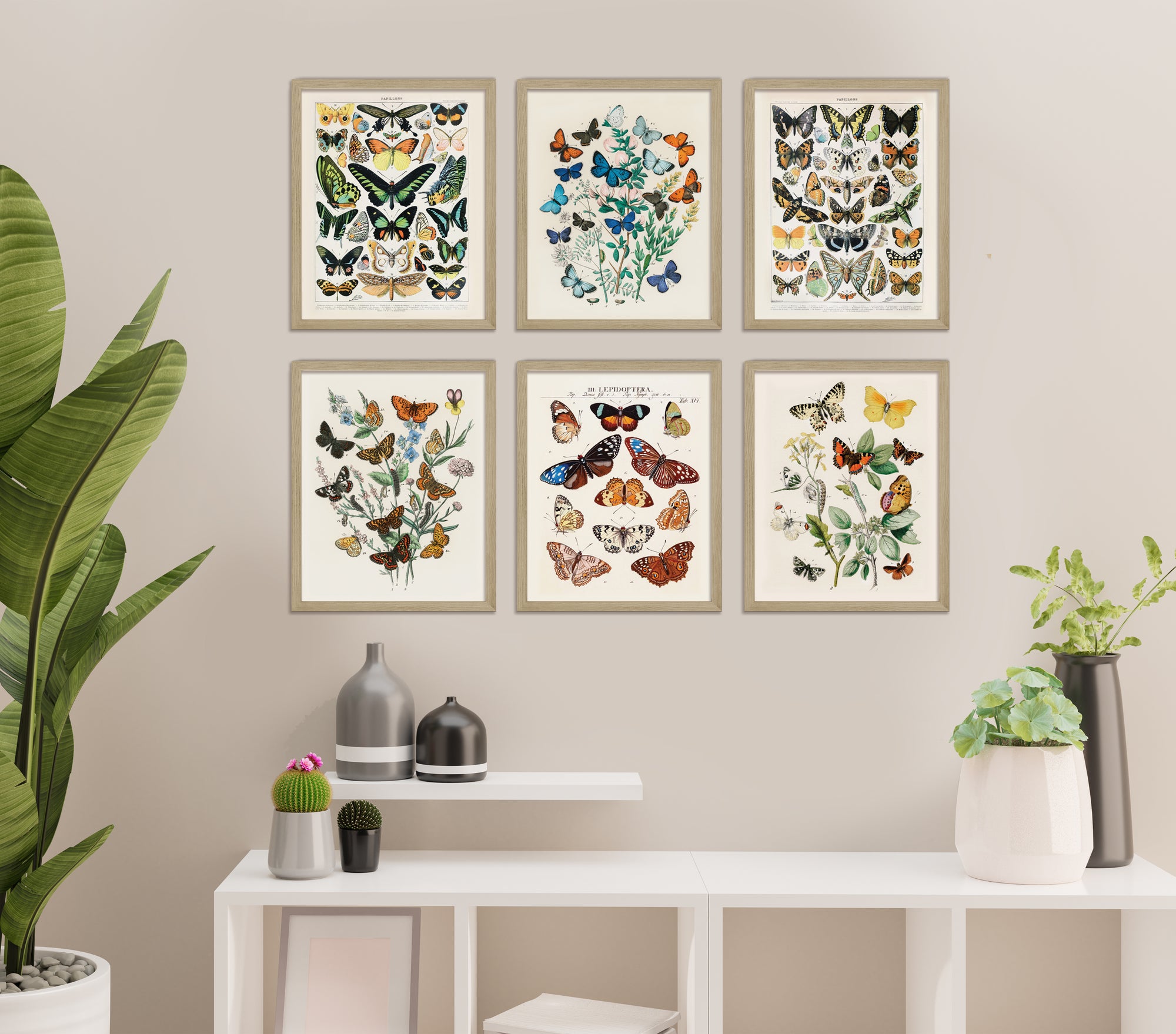 Vintage Butterflies 6 Set