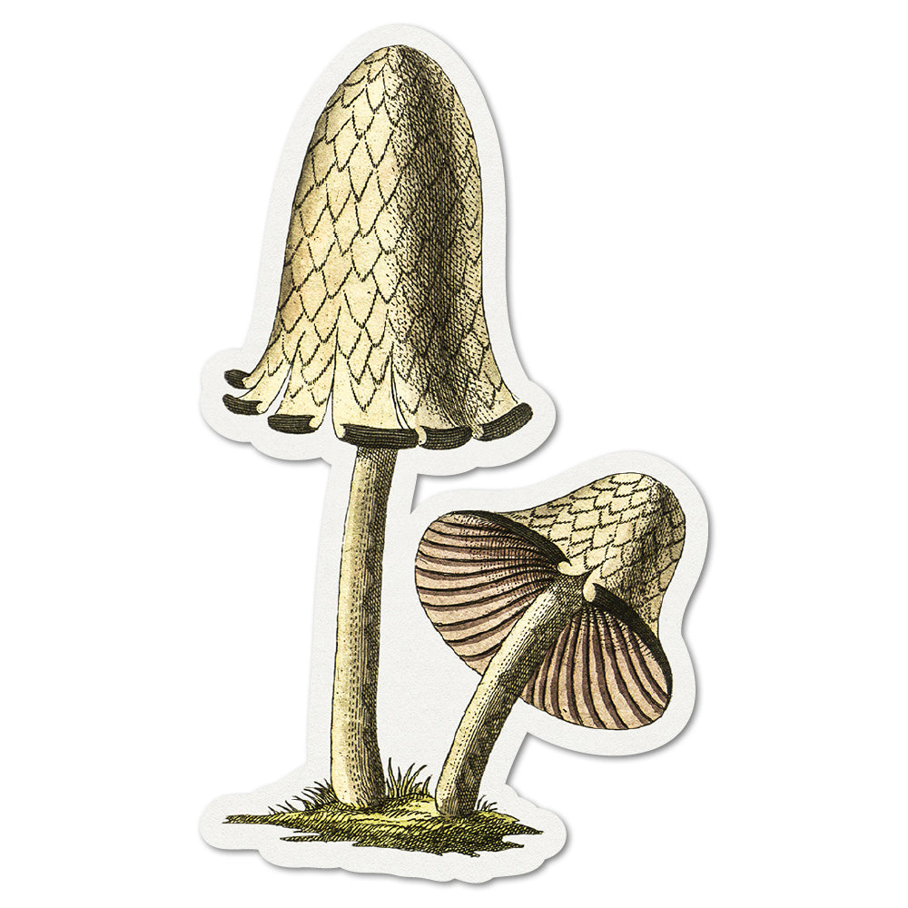 Vintage Mushroom Sticker
