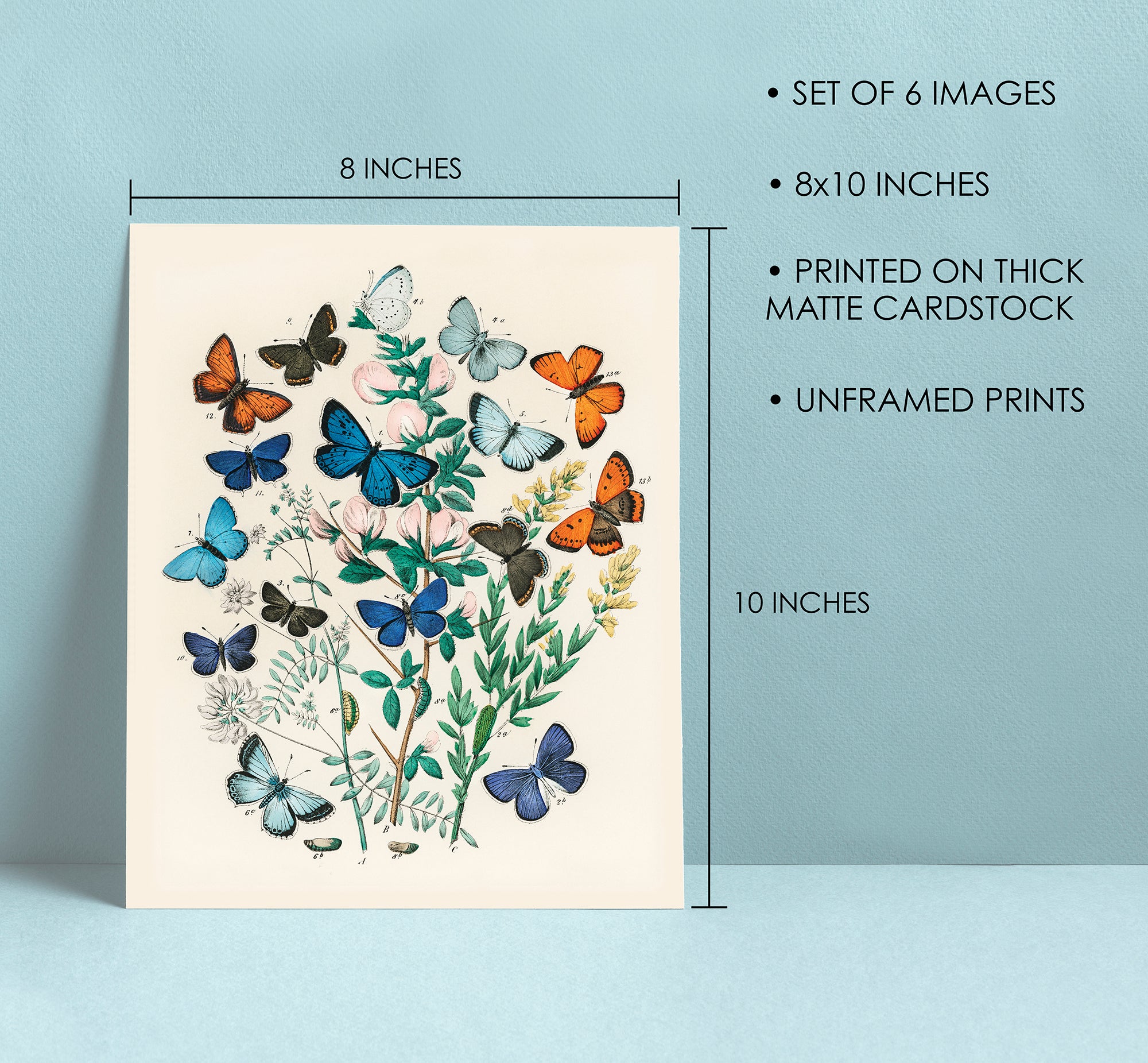 Vintage Butterflies 6 Set