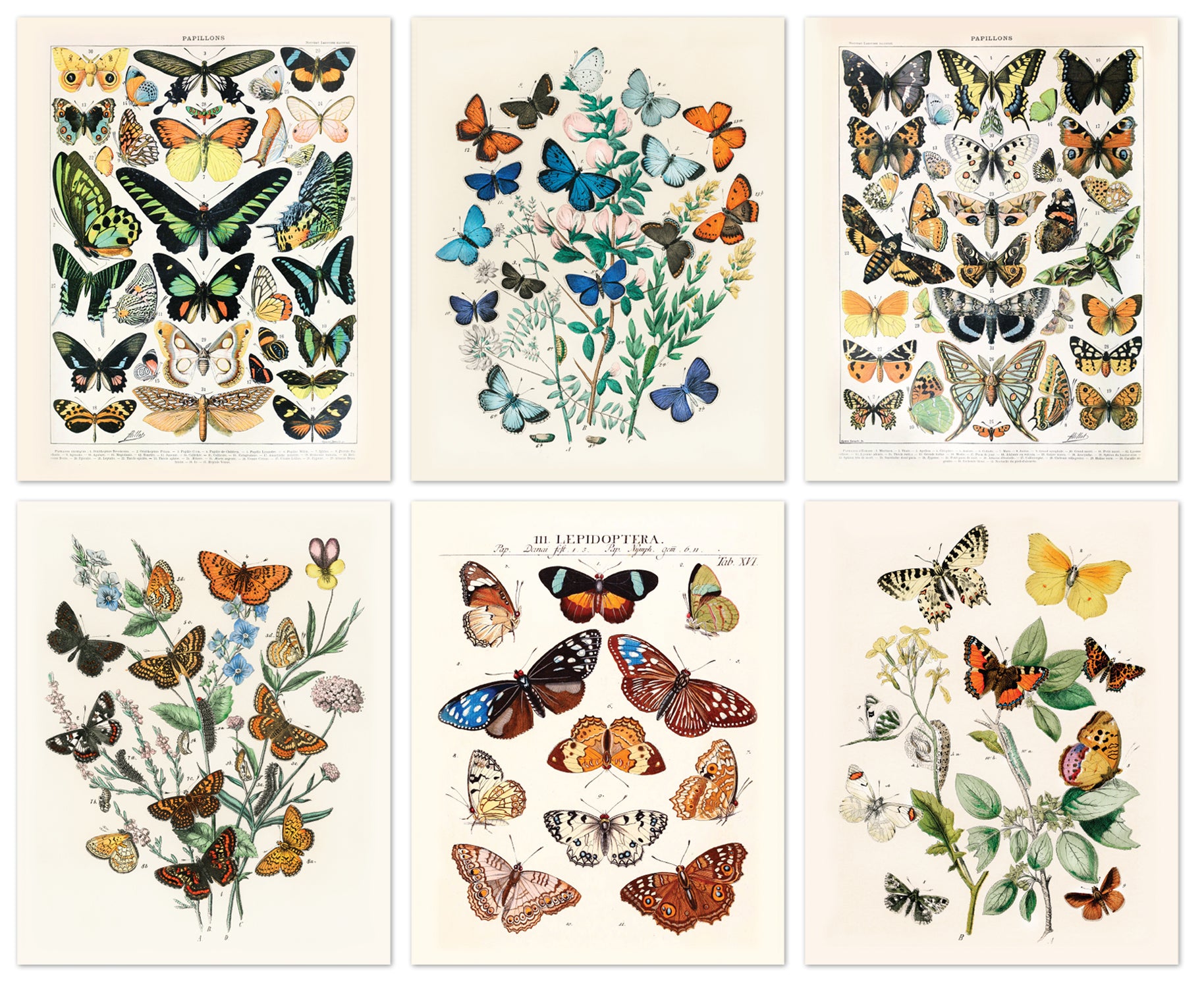 Vintage Butterflies 6 Set