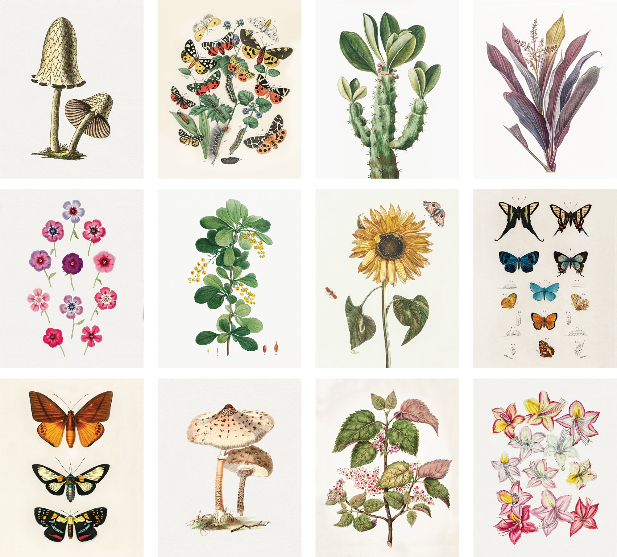 Vintage Posters 12 Set