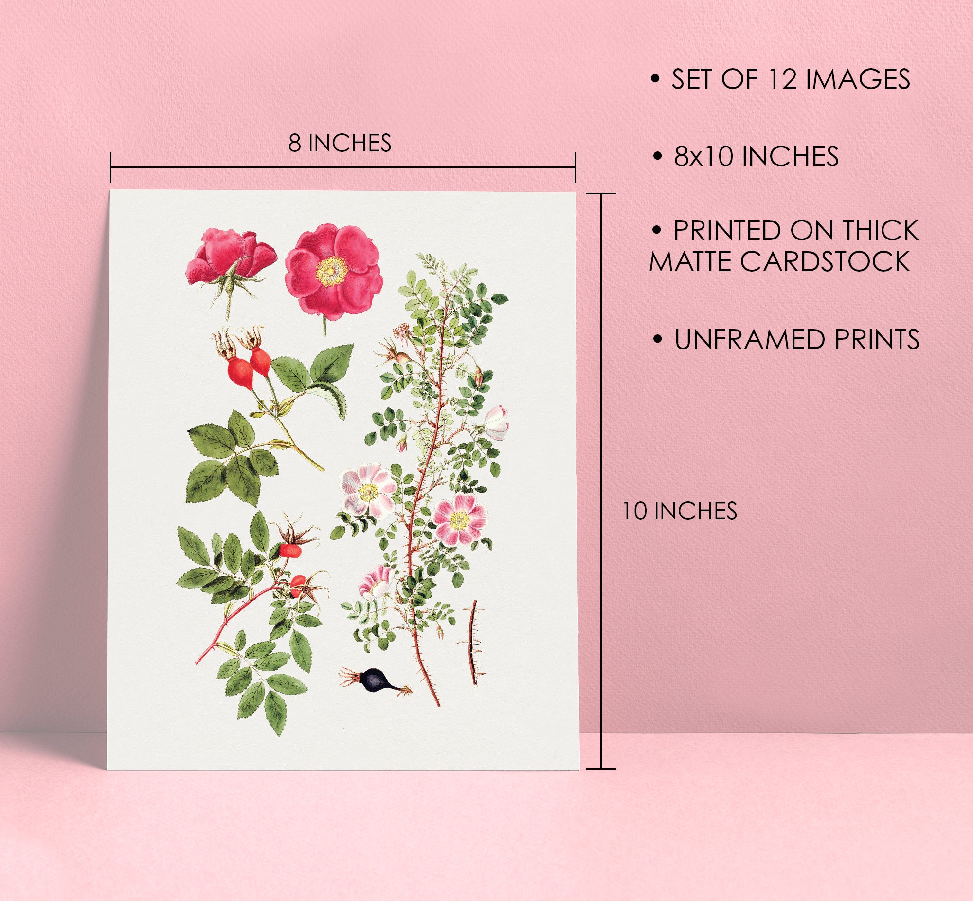 Vintage Wall Collage - Double Box Set