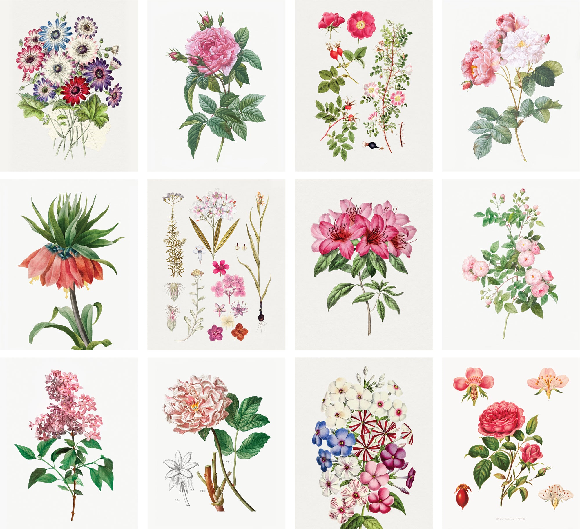 Vintage Wall Collage - Double Box Set