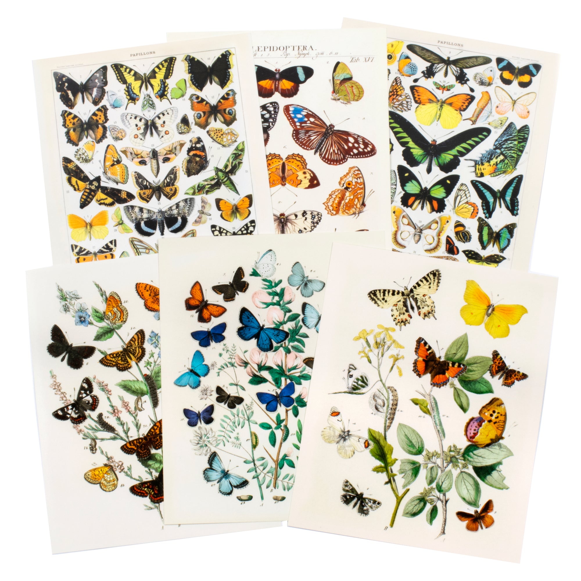 Vintage Butterflies 6 Set