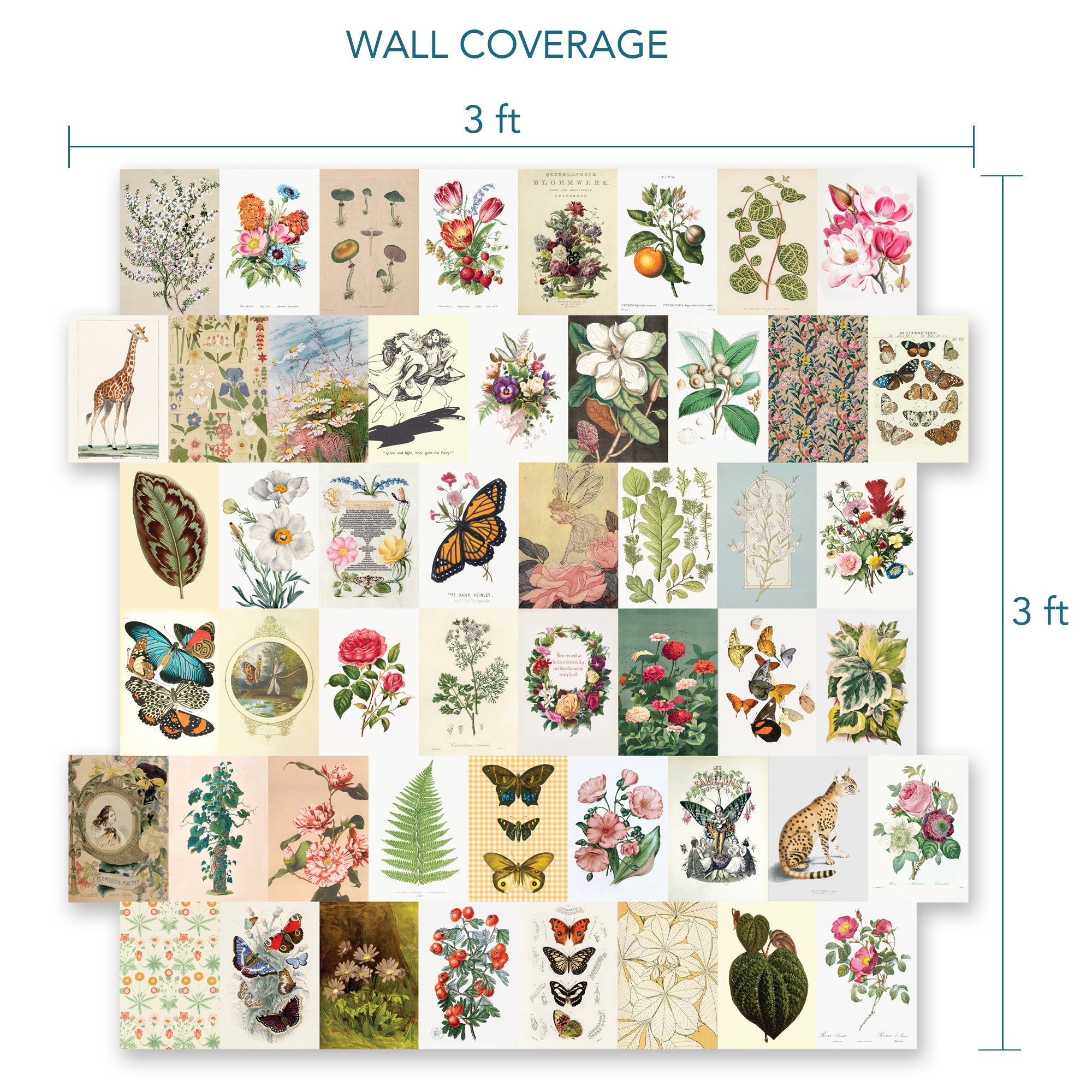 Vintage Wall Collage - 50 Card Set