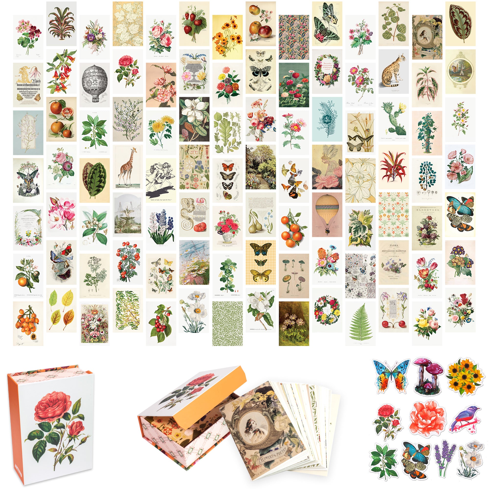 Vintage Collage - 100 Box Set