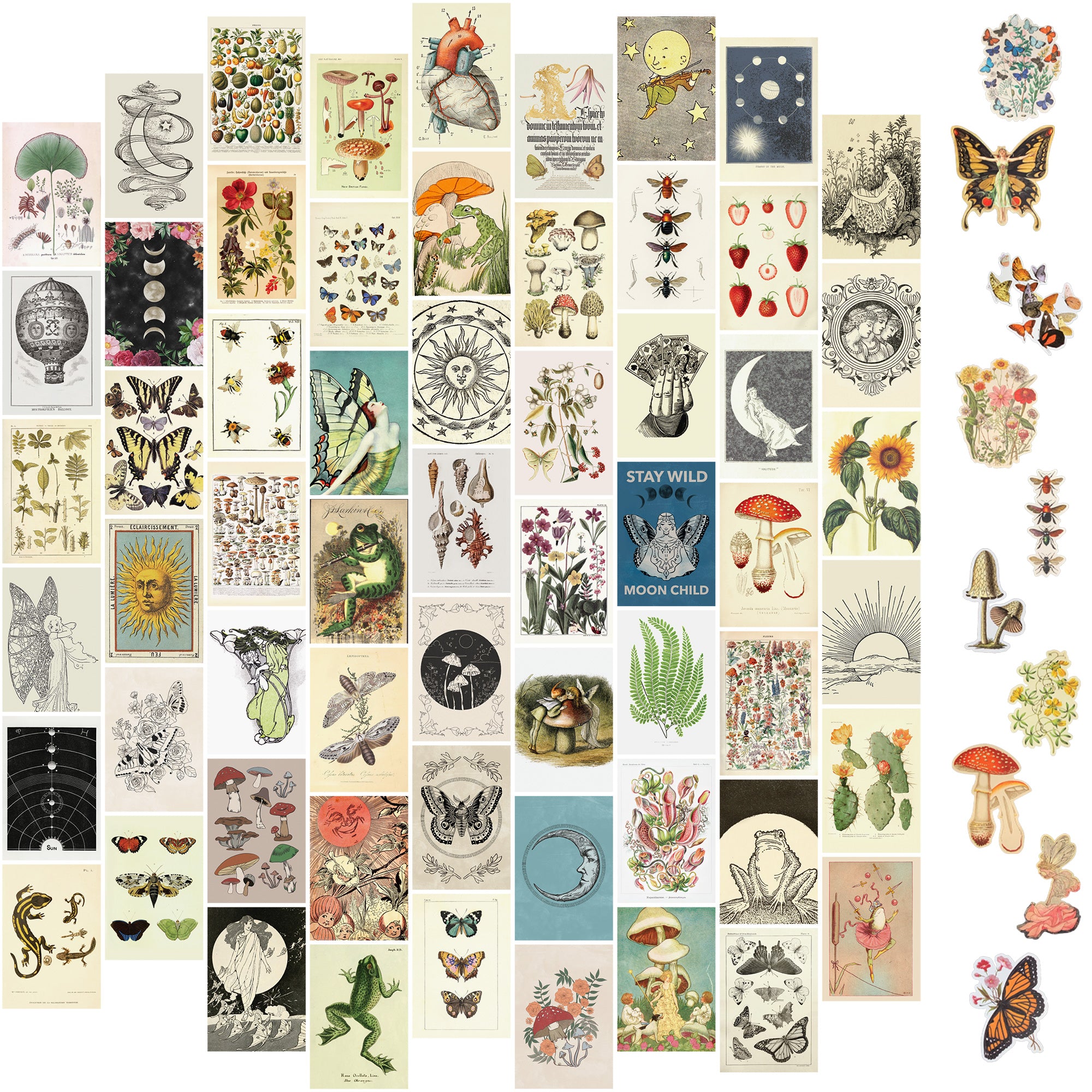 Vintage Wall Collage - 60 Box Set